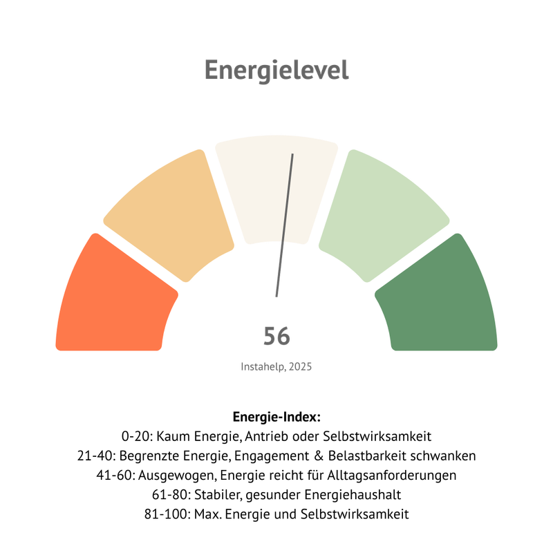 Energielevel des Mental Health Employee Barometers