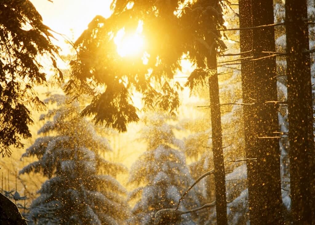 Tipps gegen Winterdepression