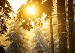 Tipps gegen Winterdepression