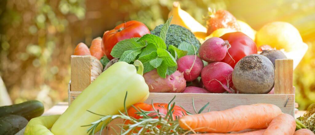 Gesunde Ernährung oder Zwang?