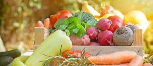 Gesunde Ernährung oder Zwang?