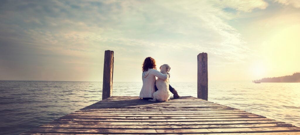 Tiere helfen bei Depressionen