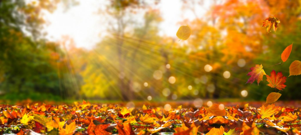 schöner Herbst