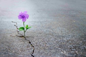 Negative Erfahrungen