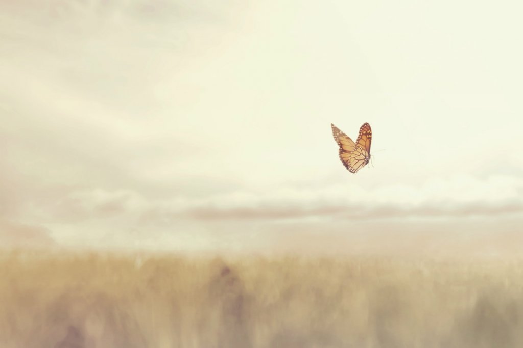 Intuition