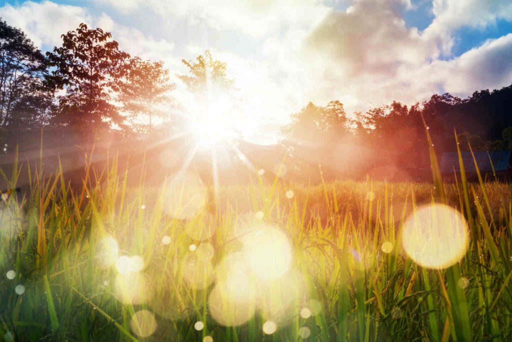 Sonnenlicht