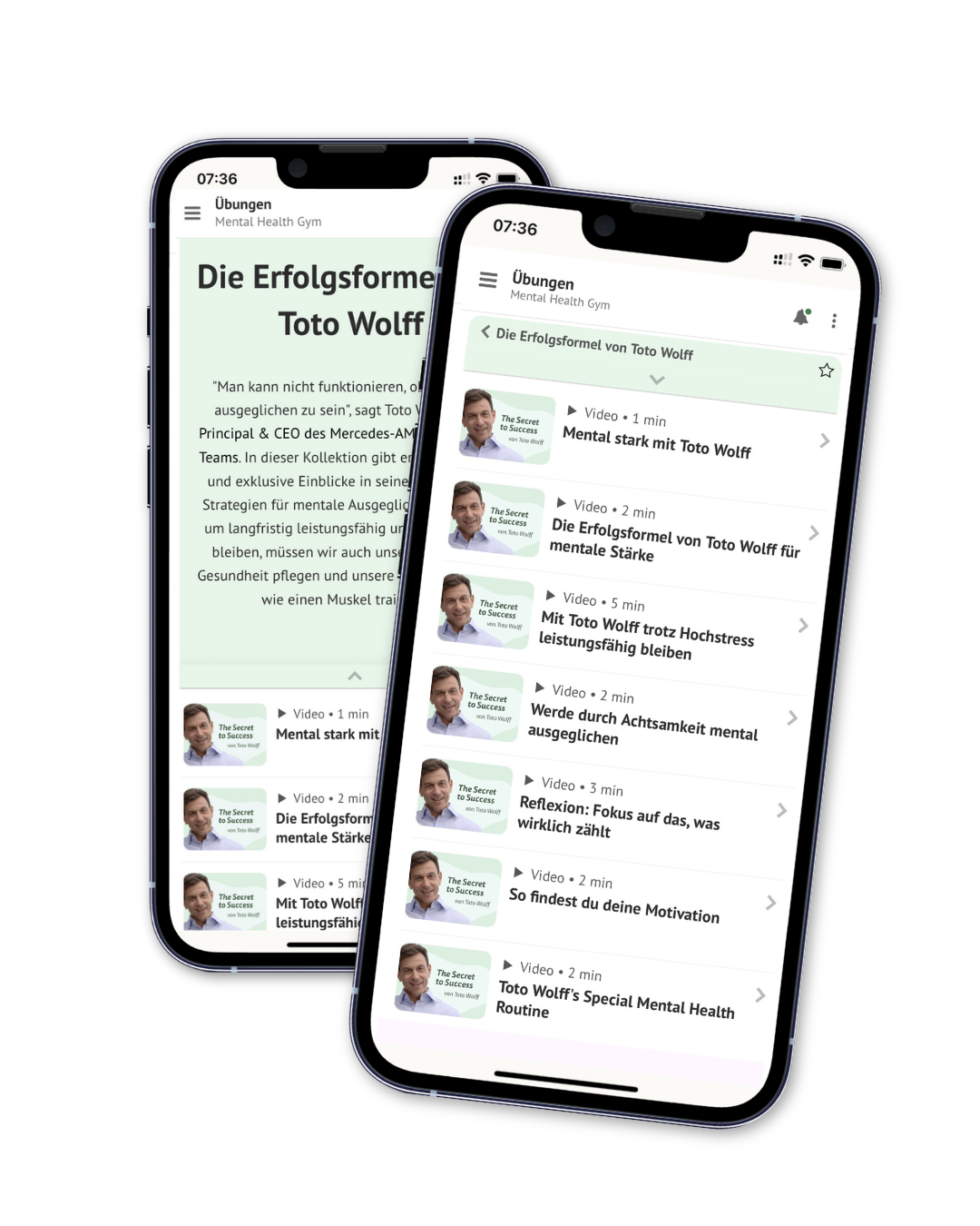 Mental Health Gym Toto Wolff